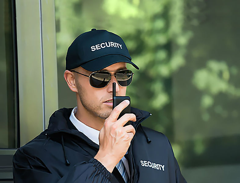 agent securite nice monaco