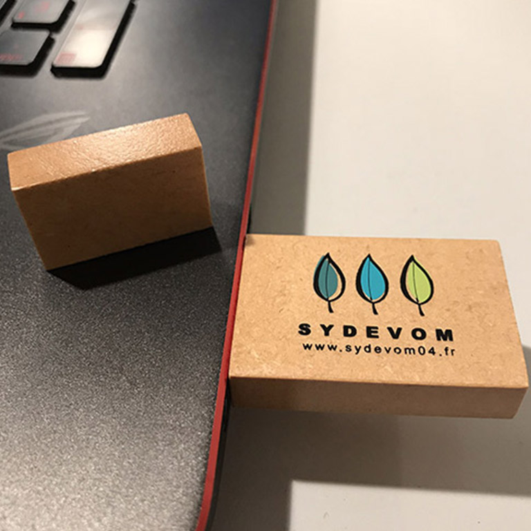 Les clés USB comme support de campagne : un atout pour vos événements corporate